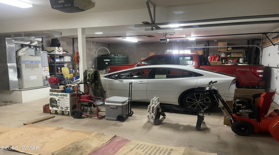 Triple Garage w/ Water Storage