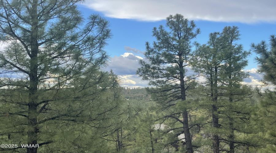 This could be Your View