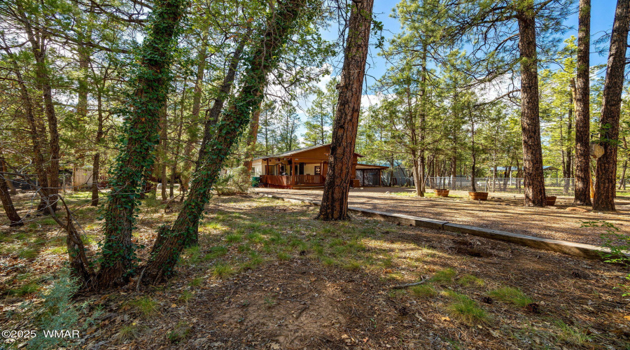1912WPkwy-Lakeside-AZ-24