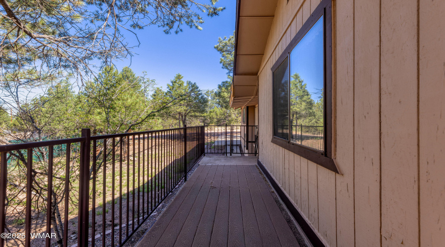 Trex deck