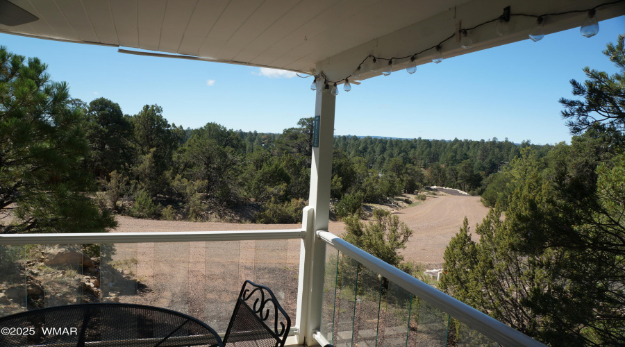 009 700 sq ft Trex Deck with outdoor din