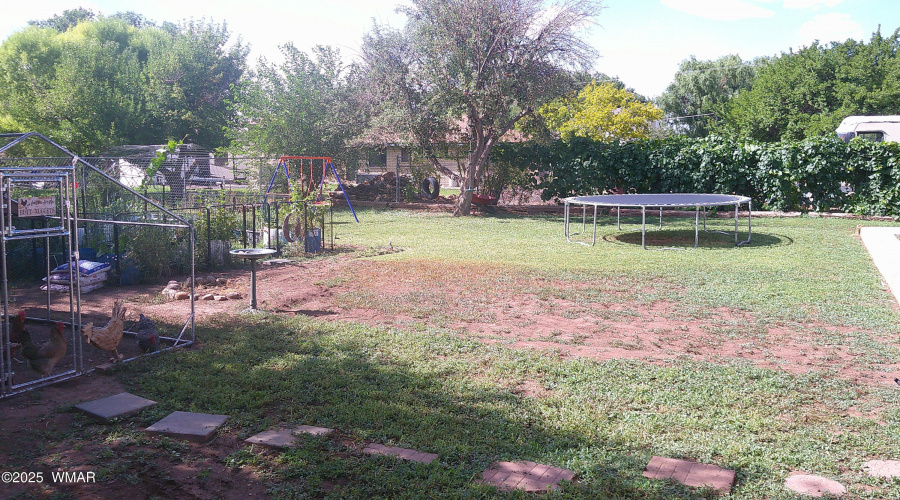 Back Yard 4