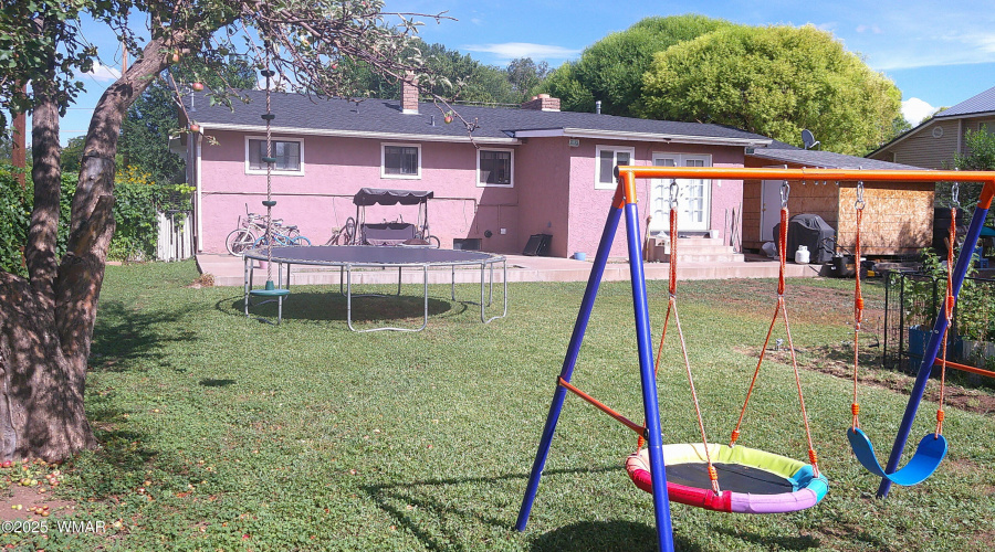 Back Yard 3