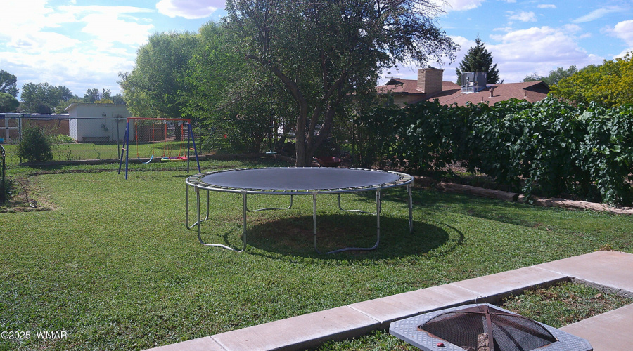 Back yard 5