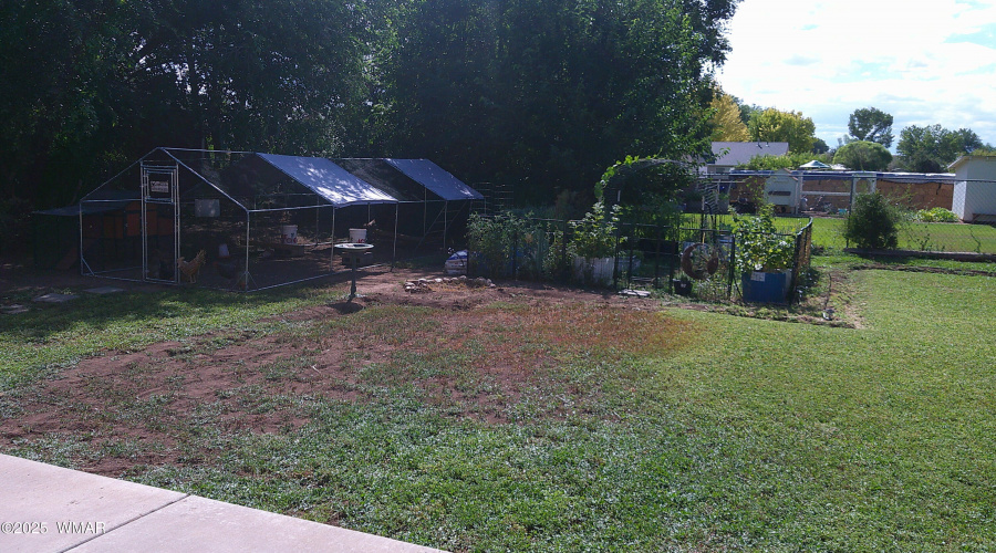 Back yard 6