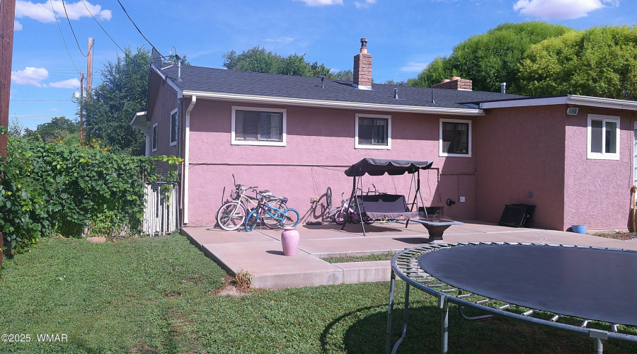 Back Yard 7