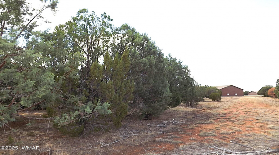 DSCF0782