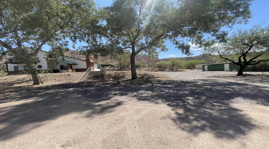 Mature shade trees