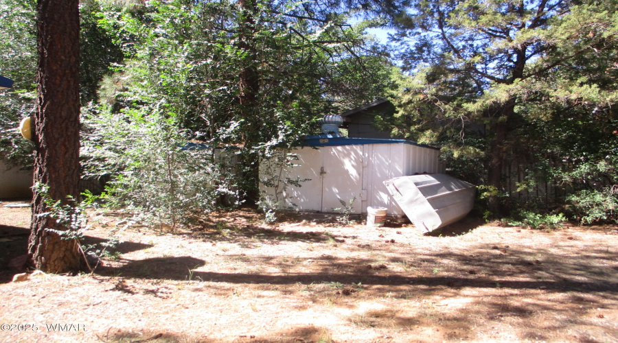 Shed