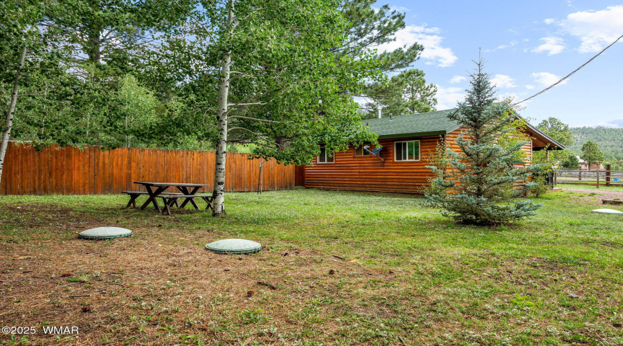 WillowCabin-Greer-AZ-19