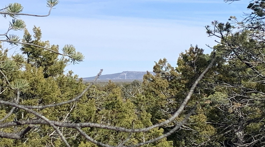 Panoramic