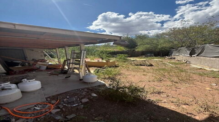 backyard
