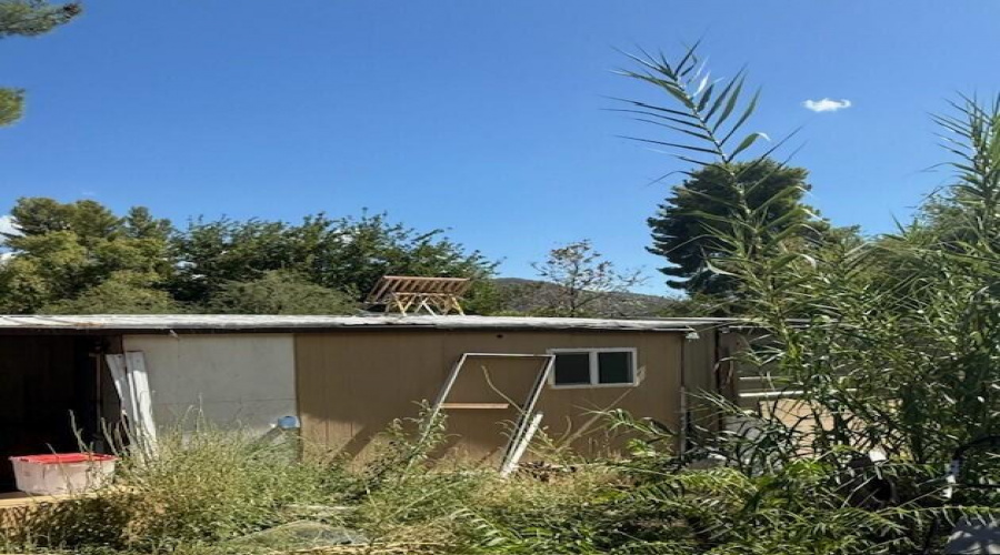 backyard3