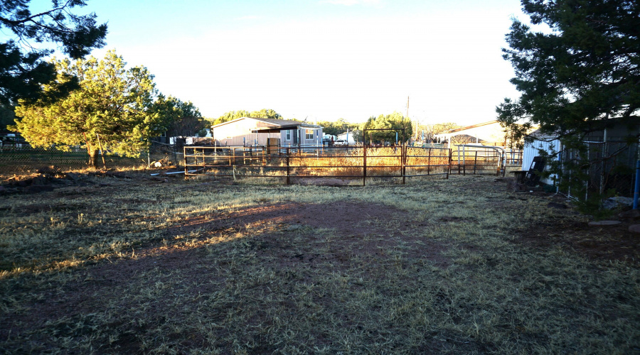 Picture 2