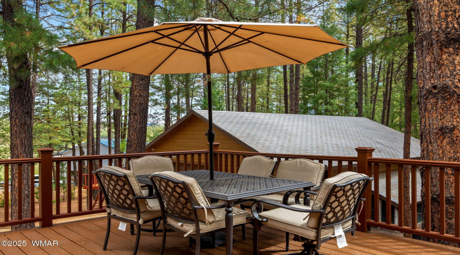 2CR2081-Alpine-AZ-37