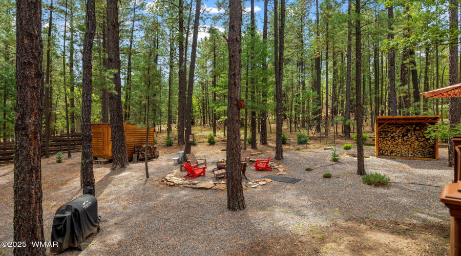 2CR2081-Alpine-AZ-38