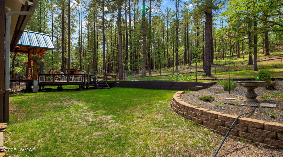2CR2081-Alpine-AZ-5