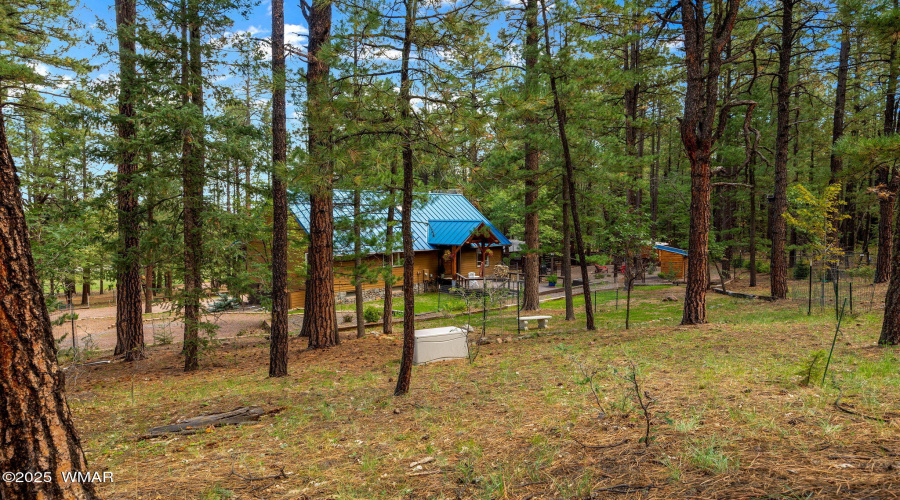 2CR2081-Alpine-AZ-2