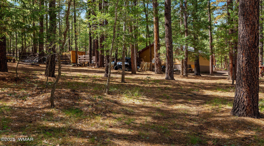 2CR2081-Alpine-AZ-53
