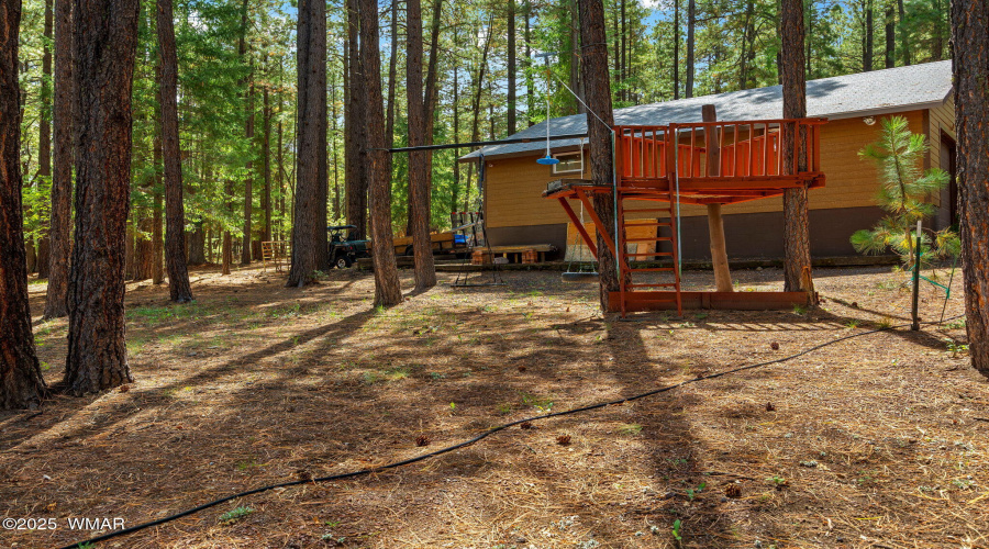 2CR2081-Alpine-AZ-54