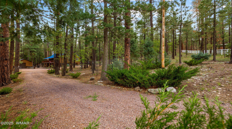 2CR2081-Alpine-AZ-55