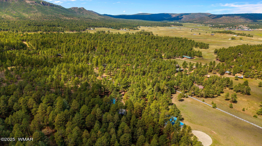 2CR2081-Alpine-AZ-58