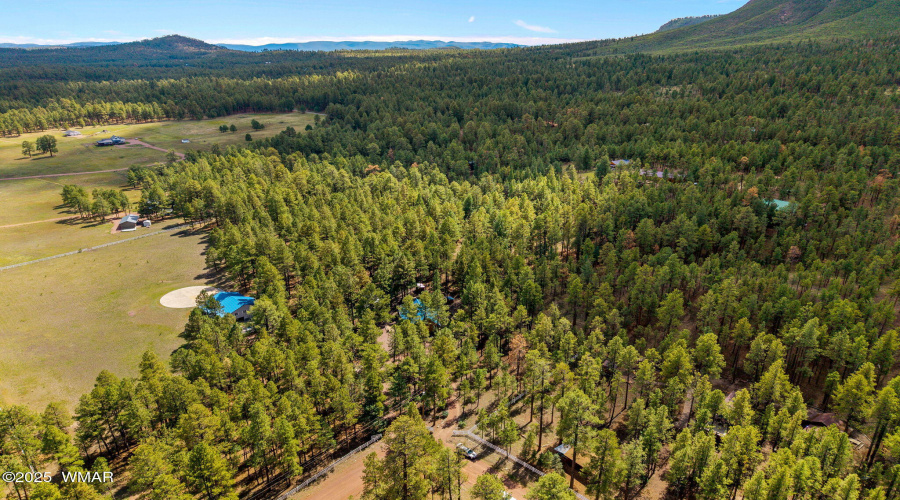 2CR2081-Alpine-AZ-59