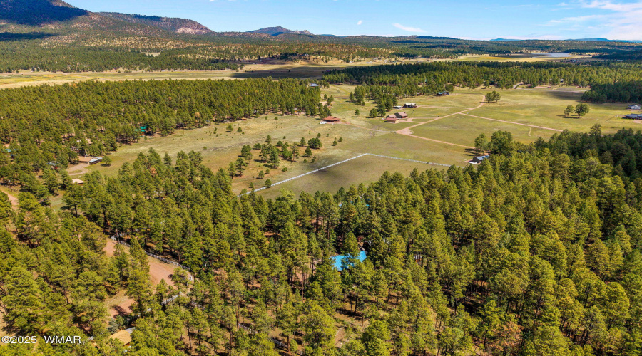 2CR2081-Alpine-AZ-61