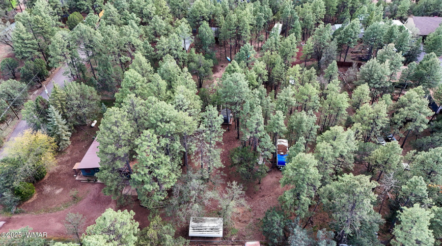 DJI_20250912145454_0073_D