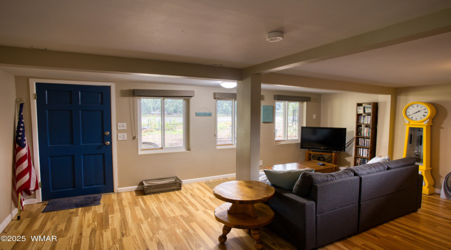 Lower Level Living Room