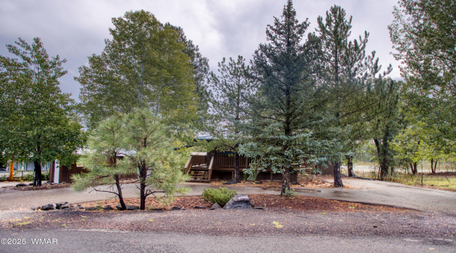 Circular Paved Driveway