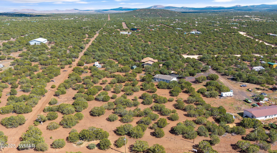Lot View