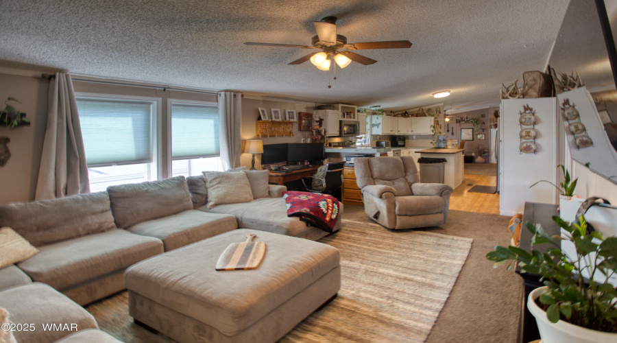 Paxmanphoto_PAX_9557
