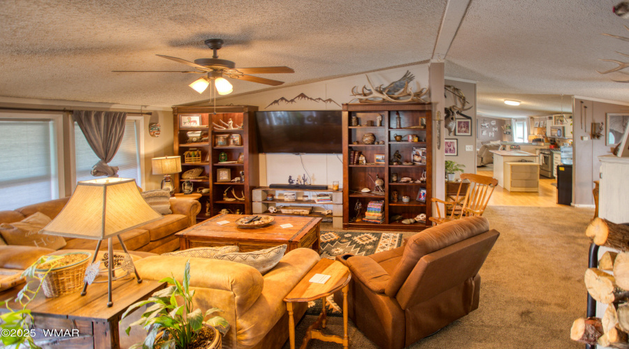 Paxmanphoto_PAX_9518
