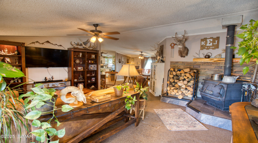 Paxmanphoto_PAX_9516