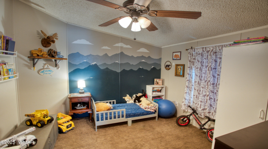 Paxmanphoto_PAX_9508