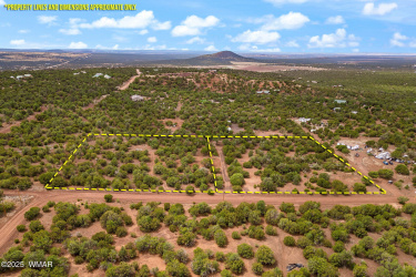 Both Lots Shown Together