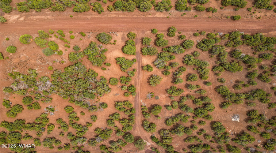 both lots and road view