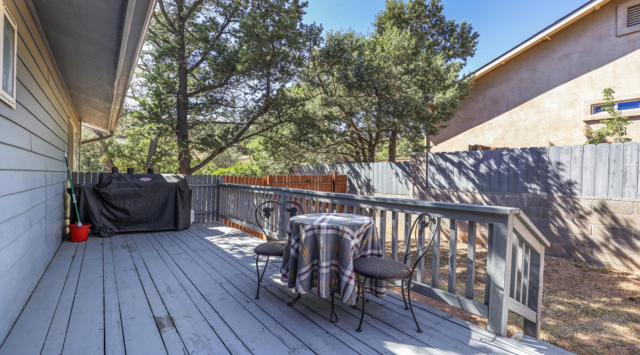 Back patio space