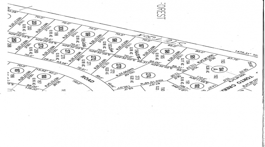 Plat Map Picture
