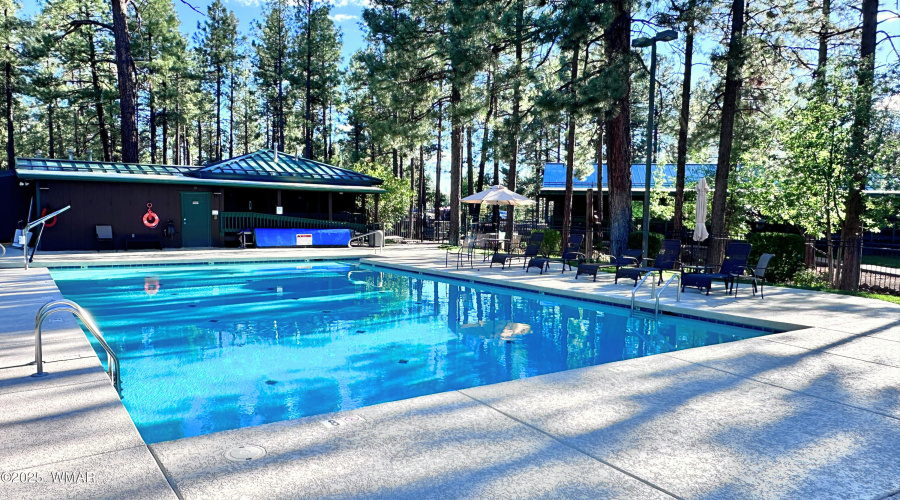 Pinetop Lakes Pool