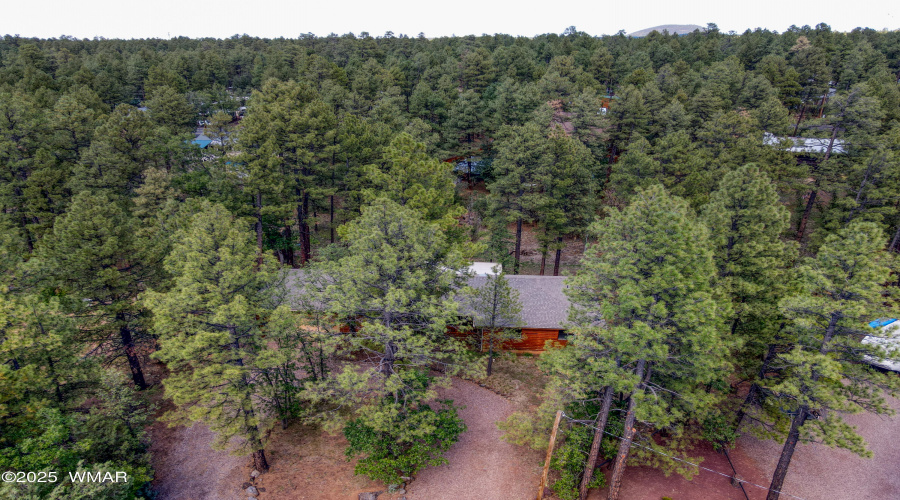 Paxmanphoto_DJI_0782