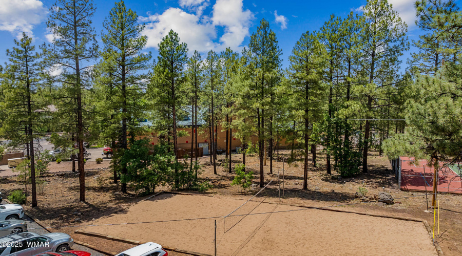 Volleyball Court