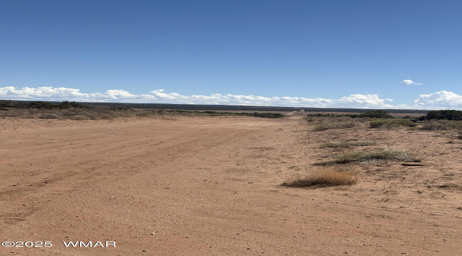 Looking East from Driveway