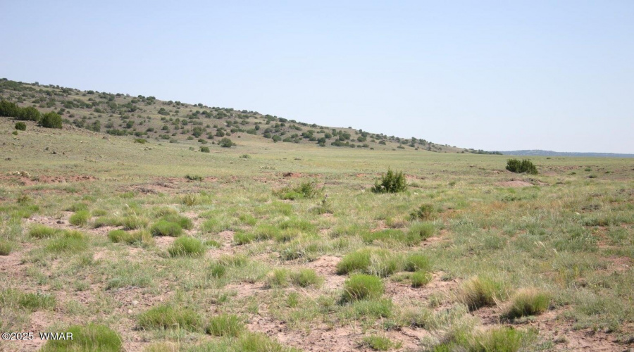 bigvalley 1