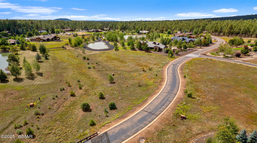 9585SierraSpringsDr-Pinetop-AZ-9