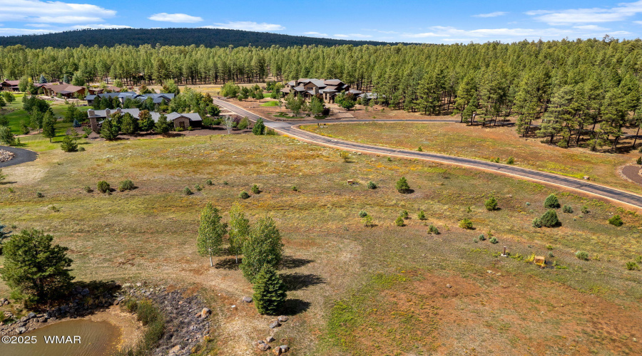 9585SierraSpringsDr-Pinetop-AZ-10