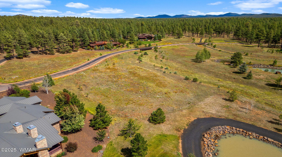 9585SierraSpringsDr-Pinetop-AZ-11