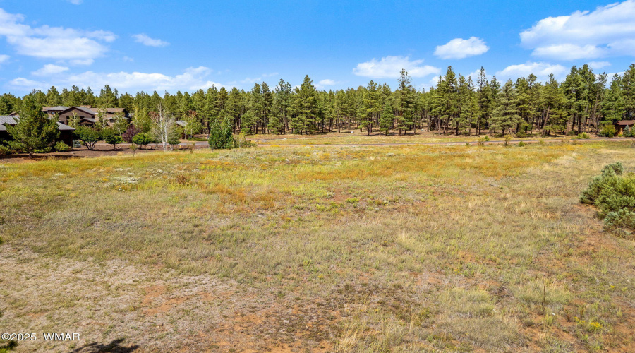 9585SierraSpringsDr-Pinetop-AZ-14