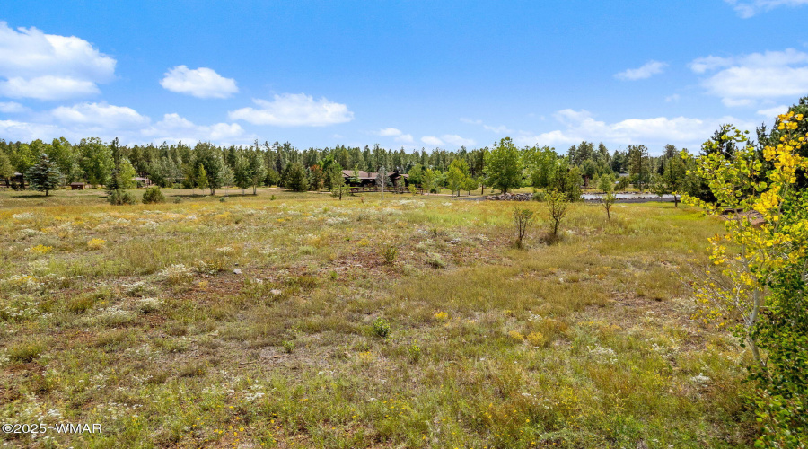 9585SierraSpringsDr-Pinetop-AZ-15